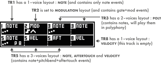 Hermod+ Manual | Squarp instruments